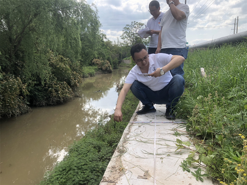 1660904184404553.jpg 1660904184404553.jpg