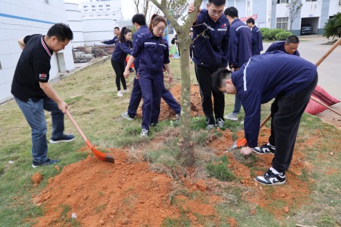 植树活动1(1).jpg